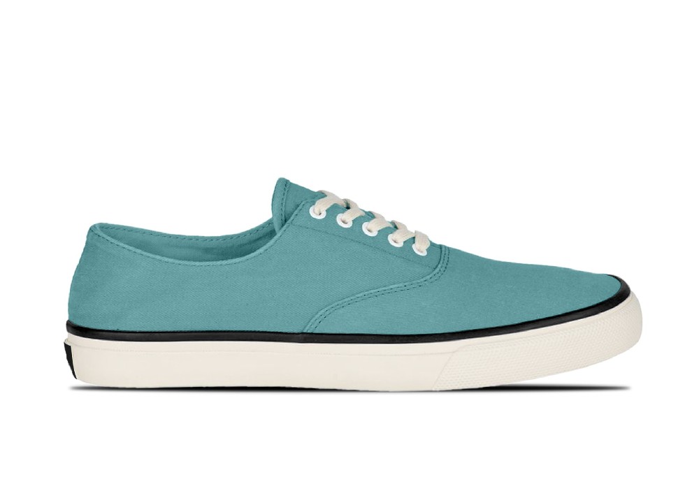 Trendy Low-Top Classic Canvas